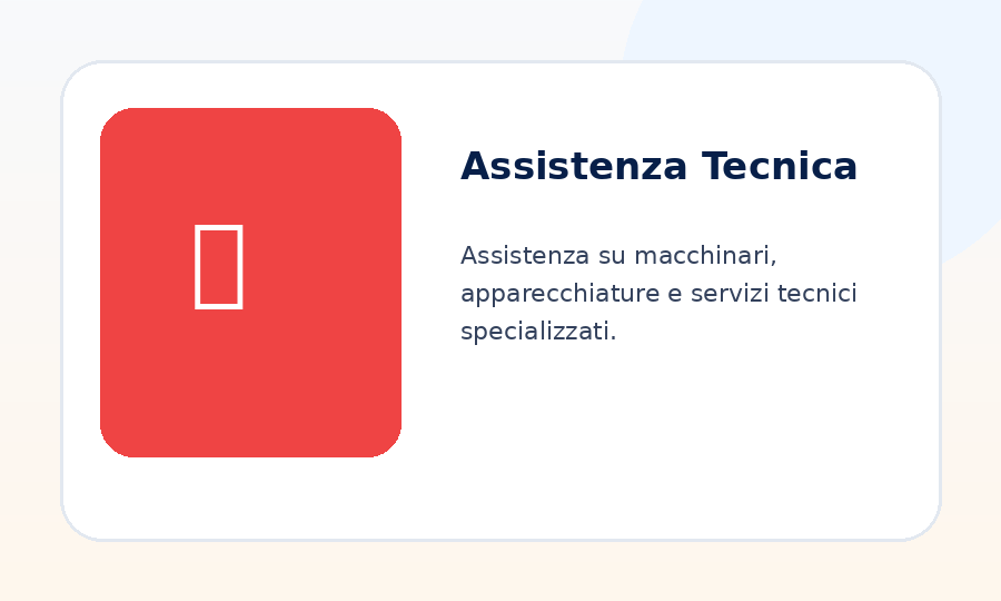 Immagine modello ReportOne Assistenza Tecnica