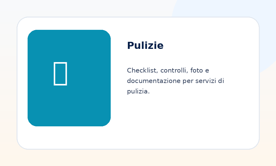Immagine funzioni ReportOne per Pulizie
